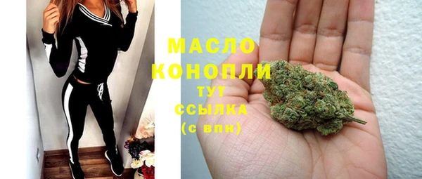 PSILOCYBIN Каменка