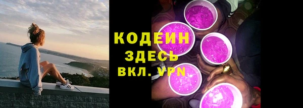 прущие грибы Каменск-Шахтинский