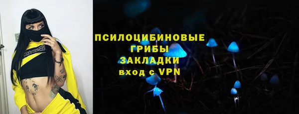 гашик Касимов