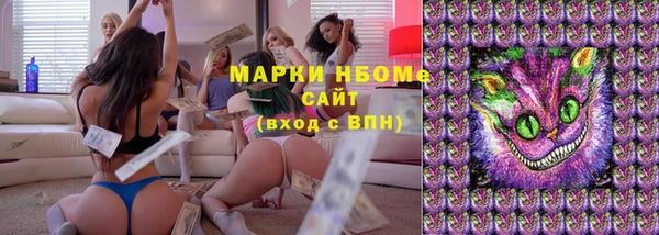 прущие грибы Каменск-Шахтинский