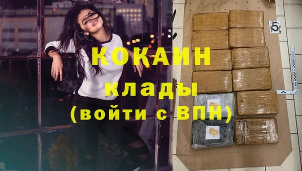 прущие грибы Каменск-Шахтинский