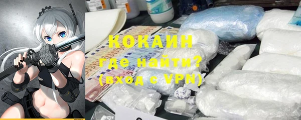 PSILOCYBIN Каменка