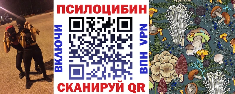 Купить закладки  Гатчина  Псилоцибиновые грибы мухоморы 